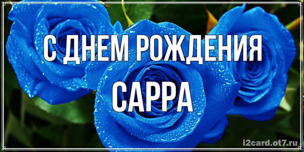 Открытка на каждый день с именем, Сарра С днем рождения розы с синим цветом Прикольная открытка с пожеланием онлайн скачать бесплатно 
