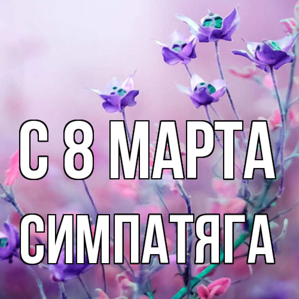 Открытка на каждый день с именем, Симпатяга C 8 МАРТА международный женский день 2 Прикольная открытка с пожеланием онлайн скачать бесплатно 