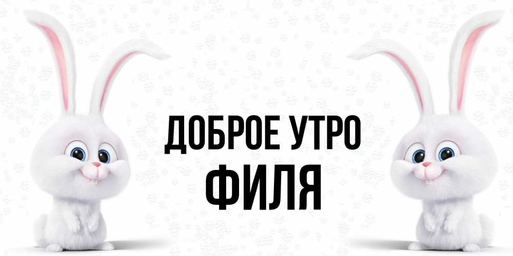 Открытка на каждый день с именем, Филя Доброе утро кролики с длинными ушками Прикольная открытка с пожеланием онлайн скачать бесплатно 
