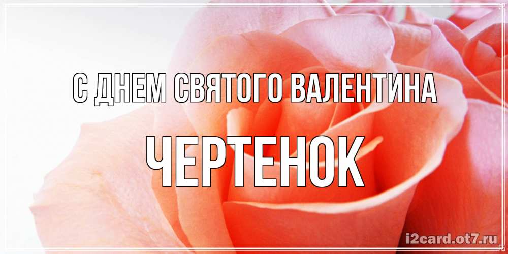 Открытка на каждый день с именем, чеpтенок С днем Святого Валентина открытка на день Святого Валентина с розовой розой Прикольная открытка с пожеланием онлайн скачать бесплатно 