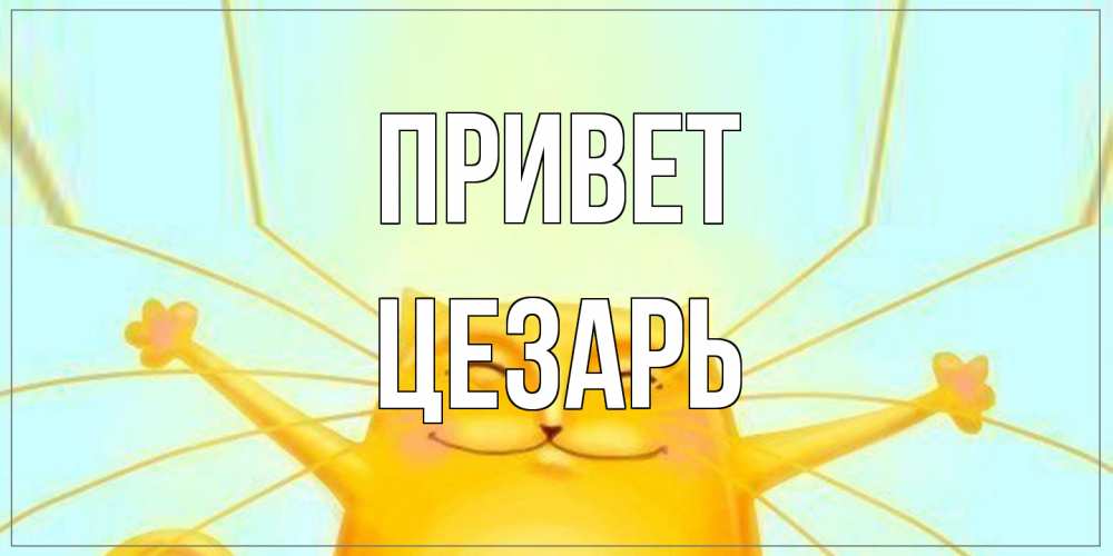Открытка на каждый день с именем, Цезарь Привет кот Прикольная открытка с пожеланием онлайн скачать бесплатно 