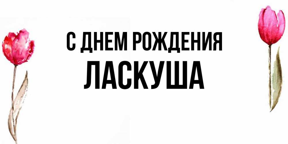 Открытка на каждый день с именем, ласкуша С днем рождения открытки акварелью с цветами Прикольная открытка с пожеланием онлайн скачать бесплатно 