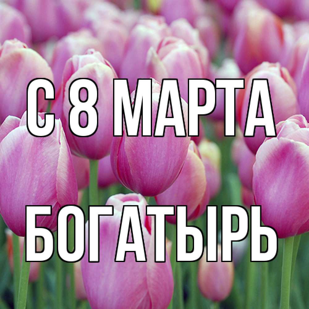 Открытка на каждый день с именем, Богатырь C 8 МАРТА на международный женский день 3 Прикольная открытка с пожеланием онлайн скачать бесплатно 