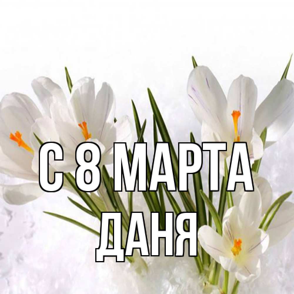 Открытка на каждый день с именем, Даня C 8 МАРТА под снегом Прикольная открытка с пожеланием онлайн скачать бесплатно 