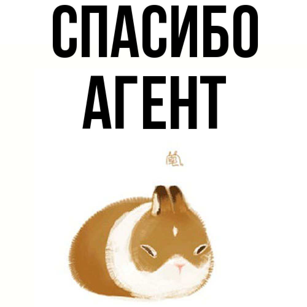 Открытка на каждый день с именем, Агент Спасибо коричнево белый домашний питомец Прикольная открытка с пожеланием онлайн скачать бесплатно 