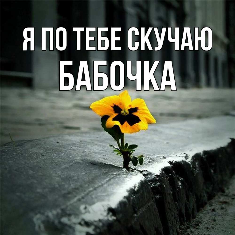 Открытка на каждый день с именем, Бабочка Я по тебе скучаю надеюсь будет лучше Прикольная открытка с пожеланием онлайн скачать бесплатно 