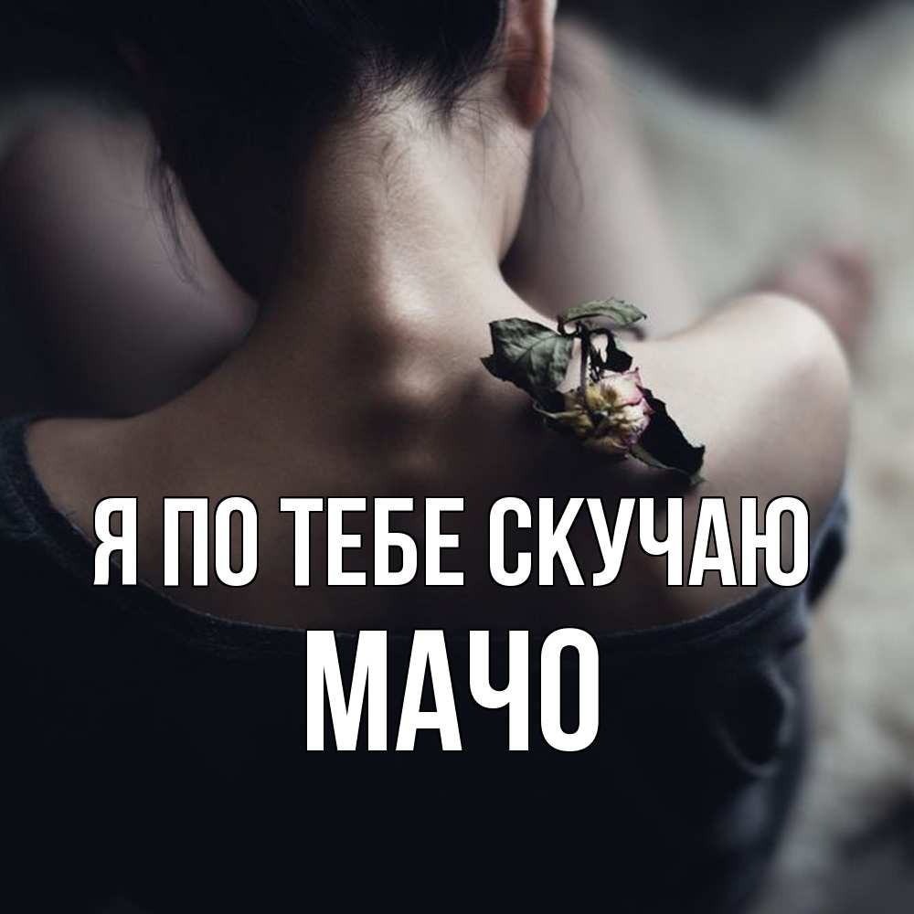 Открытка на каждый день с именем, Мачо Я по тебе скучаю засох цветок Прикольная открытка с пожеланием онлайн скачать бесплатно 