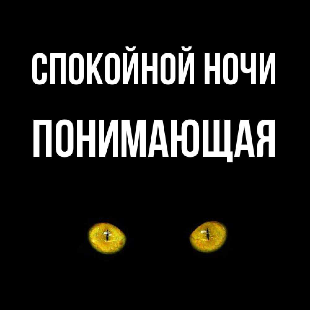 Открытка на каждый день с именем, Понимающая Спокойной ночи сладких снов бесстрашный мой дружочек Прикольная открытка с пожеланием онлайн скачать бесплатно 