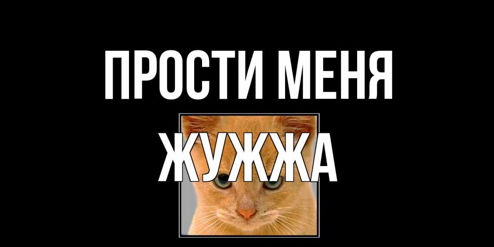 Открытка на каждый день с именем, Жужжа Прости меня рыжий грустный кот просит прощения Прикольная открытка с пожеланием онлайн скачать бесплатно 