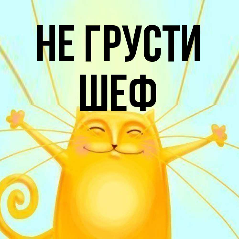 Открытка на каждый день с именем, Шеф Не грусти обнимашки усатые Прикольная открытка с пожеланием онлайн скачать бесплатно 