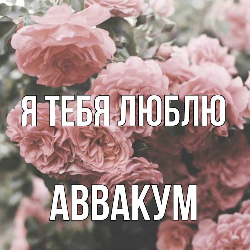 Картинка Я тебя люблю, Аввакум