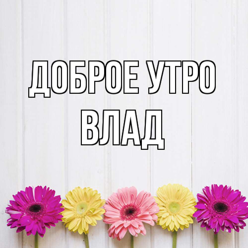 Открытка на каждый день с именем, Влад Доброе утро красный желтый и розовый цветок Прикольная открытка с пожеланием онлайн скачать бесплатно 