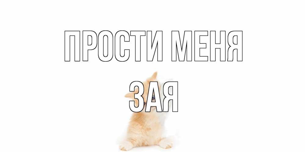 Открытка на каждый день с именем, Зая Прости меня кот Прикольная открытка с пожеланием онлайн скачать бесплатно 