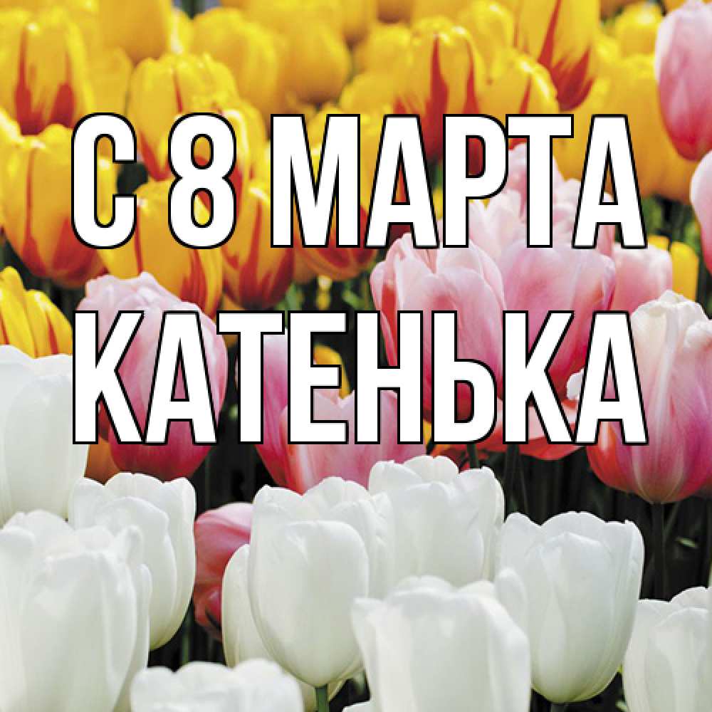 Открытка на каждый день с именем, Катенька C 8 МАРТА разноцветные цветы Прикольная открытка с пожеланием онлайн скачать бесплатно 