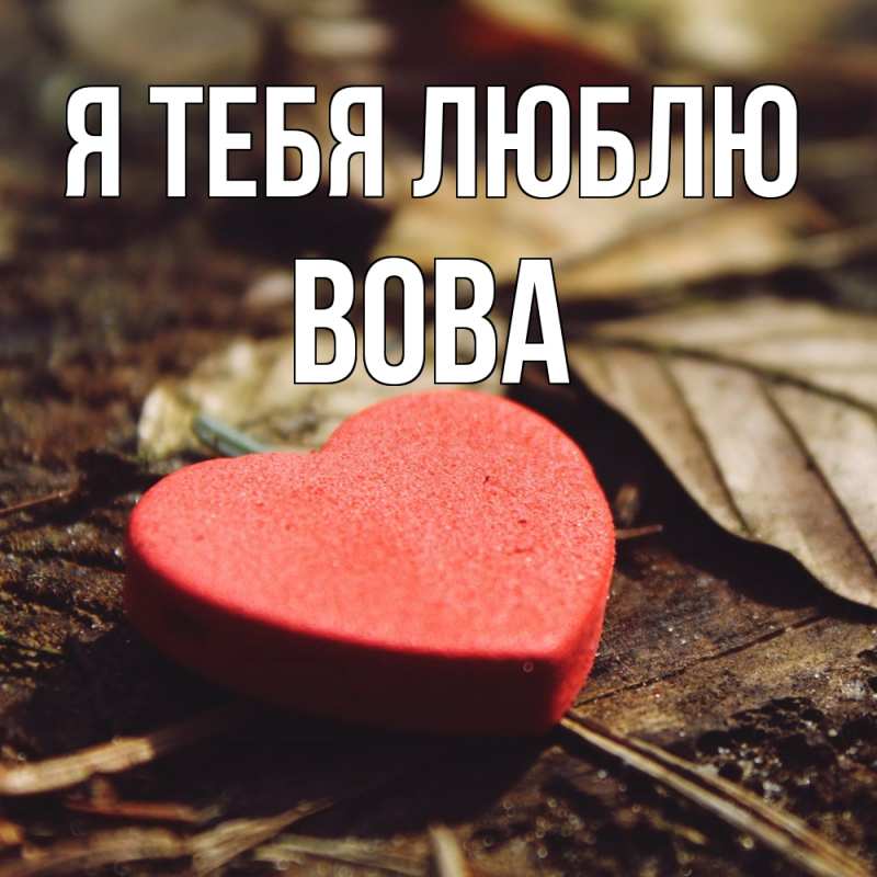 Картинка Я тебя люблю, Вова