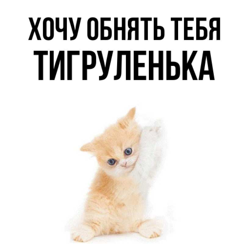 Картинка Хочу обнять тебя, Тигpуленька