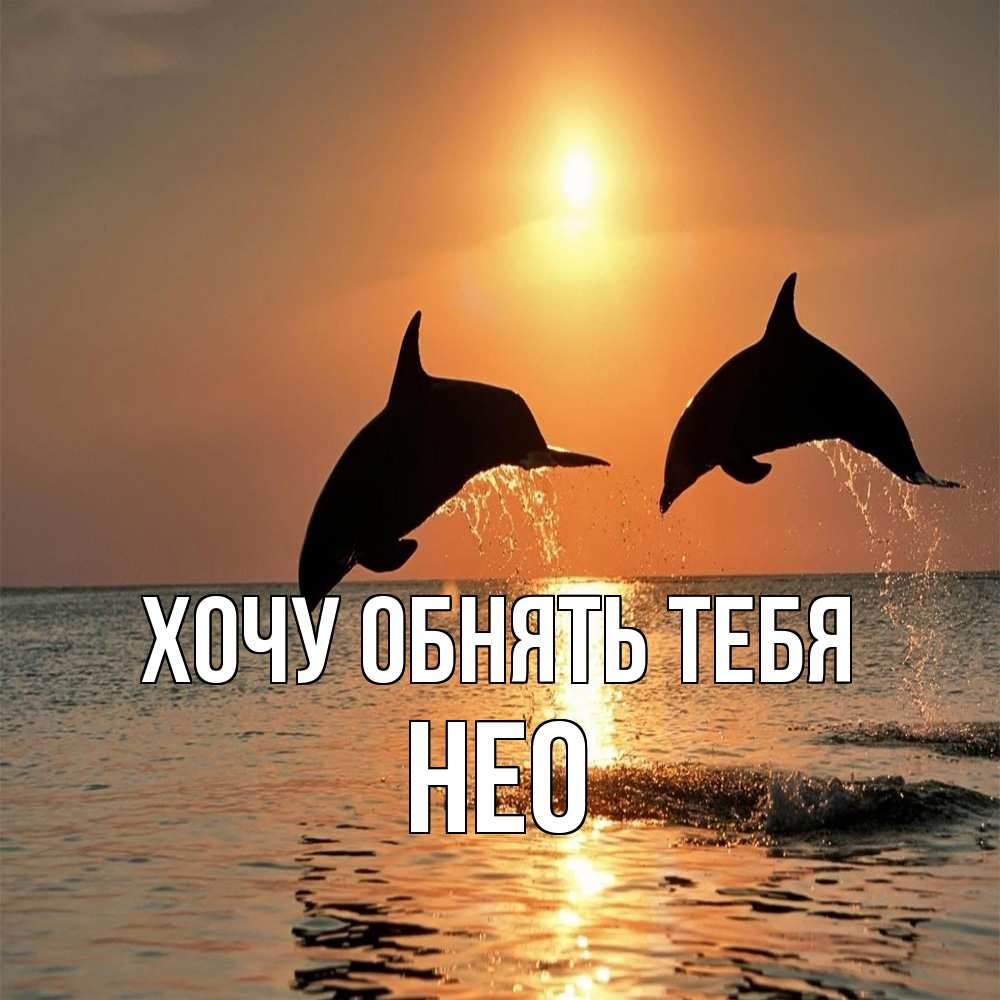 Открытка на каждый день с именем, Нео Хочу обнять тебя рыбы на закате Прикольная открытка с пожеланием онлайн скачать бесплатно 