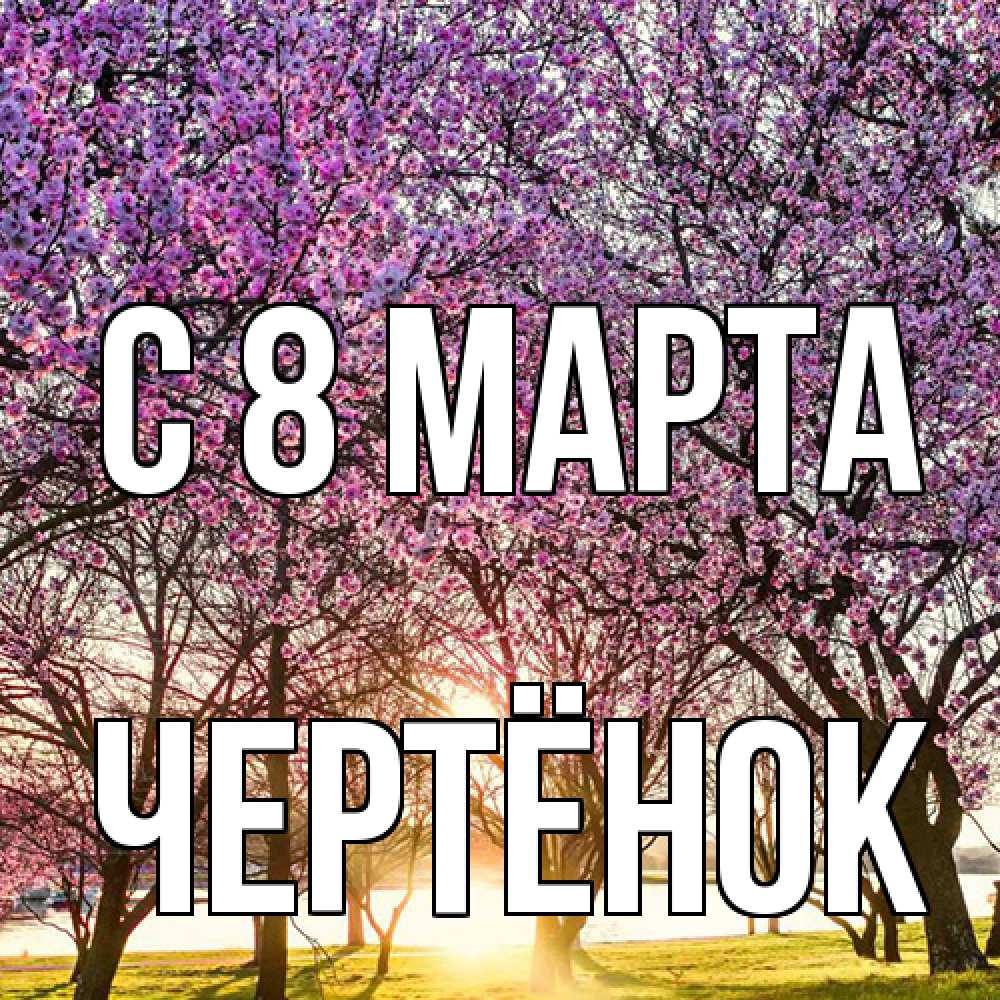 Открытка на каждый день с именем, Чертёнок C 8 МАРТА международный женский день Прикольная открытка с пожеланием онлайн скачать бесплатно 