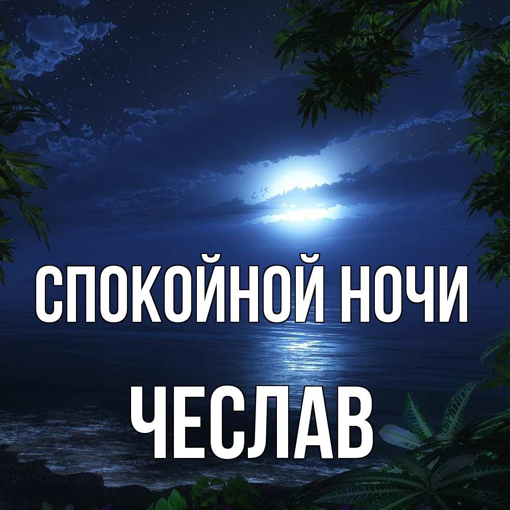 Открытка на каждый день с именем, Чеслав Спокойной ночи тропический остров Прикольная открытка с пожеланием онлайн скачать бесплатно 