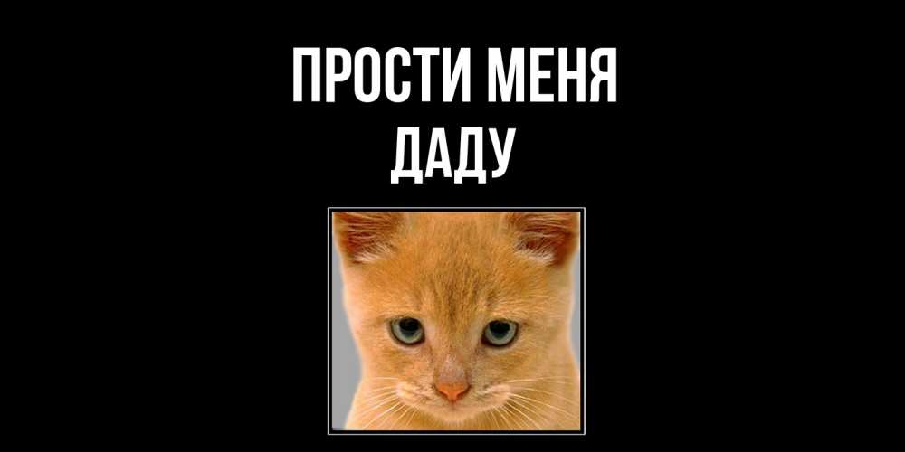 Открытка на каждый день с именем, Даду Прости меня рыжий грустный кот просит прощения Прикольная открытка с пожеланием онлайн скачать бесплатно 