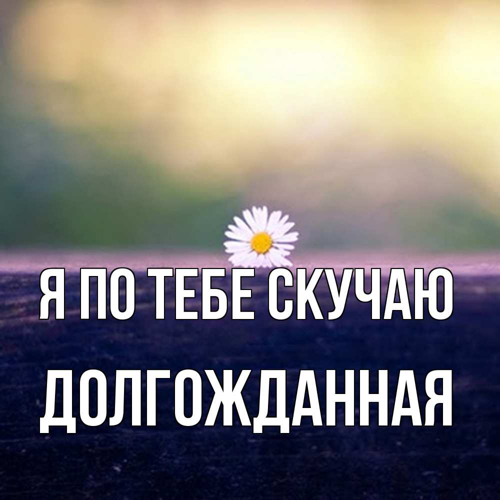 Открытка на каждый день с именем, Долгожданная Я по тебе скучаю приходи в гости Прикольная открытка с пожеланием онлайн скачать бесплатно 