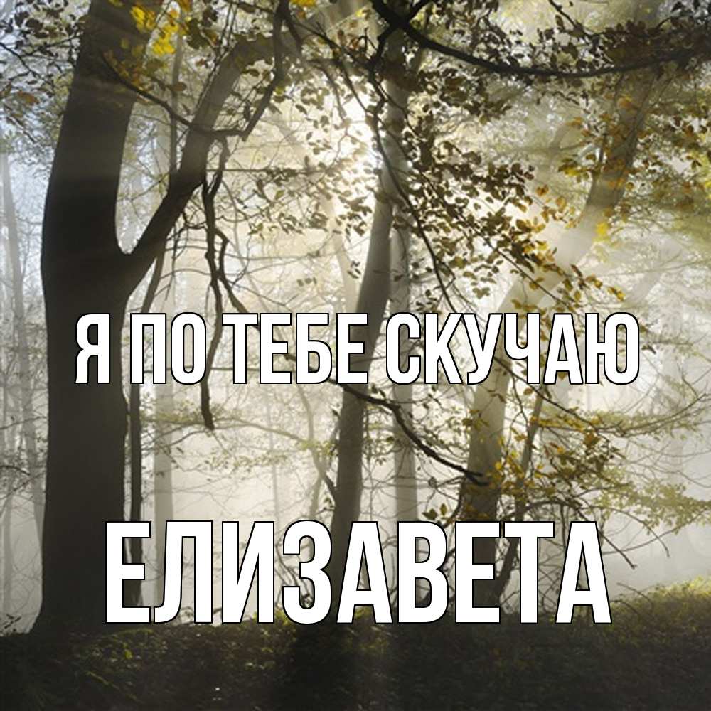 Открытка на каждый день с именем, Елизавета Я по тебе скучаю грустно Прикольная открытка с пожеланием онлайн скачать бесплатно 