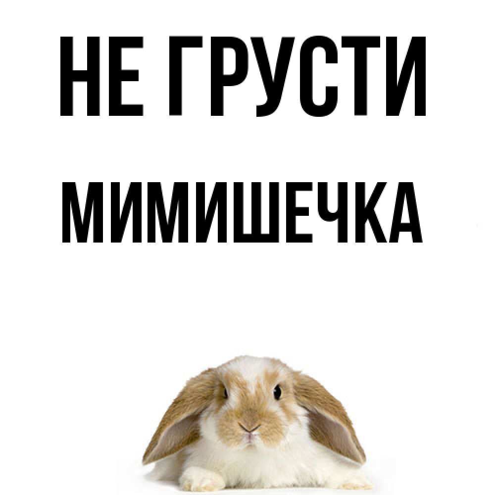 Открытка на каждый день с именем, мимишечка Не грусти коричнево белый заяц с большими ушками Прикольная открытка с пожеланием онлайн скачать бесплатно 