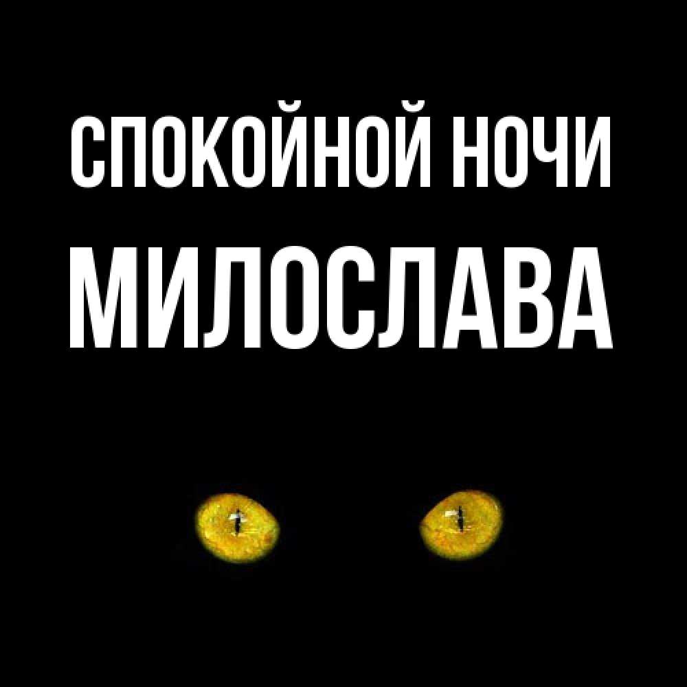 Открытка на каждый день с именем, Милослава Спокойной ночи сладких снов бесстрашный мой дружочек Прикольная открытка с пожеланием онлайн скачать бесплатно 