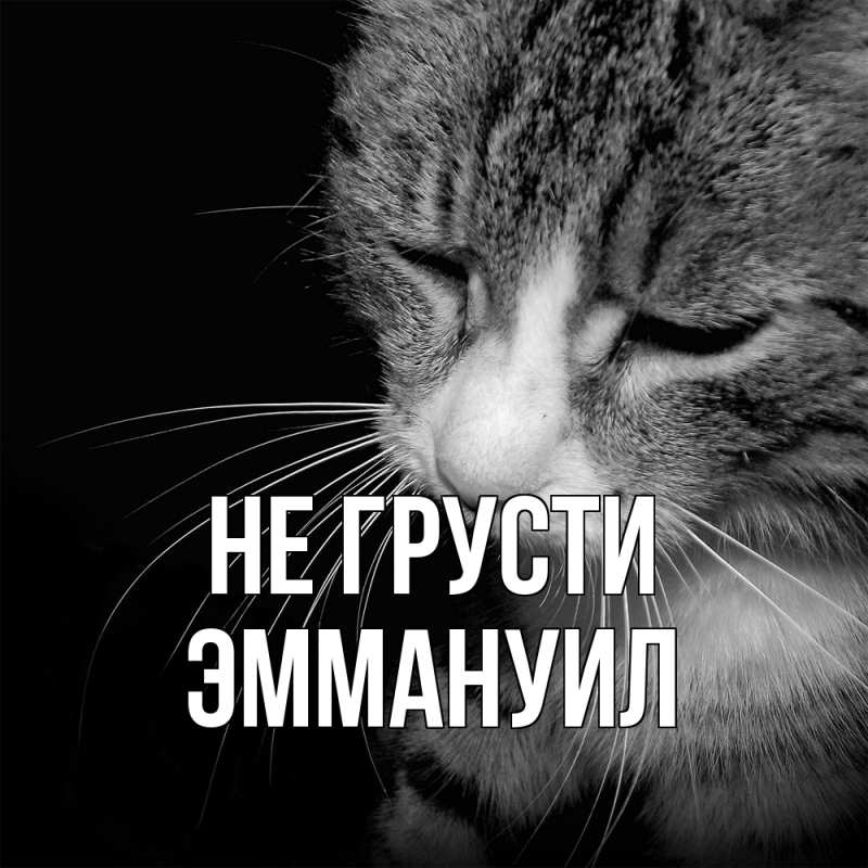 Картинка Не грусти, Эммануил