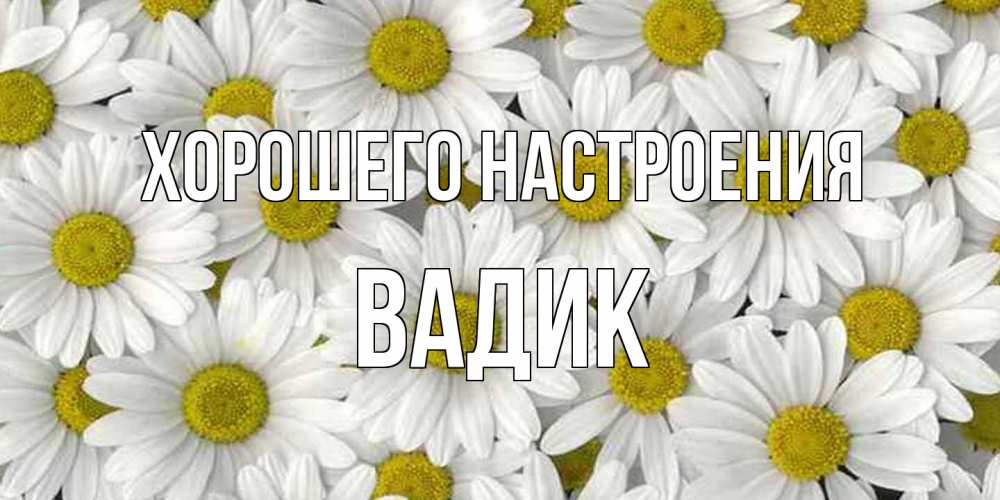 Открытка на каждый день с именем, Вадик Хорошего настроения поляна ромашек Прикольная открытка с пожеланием онлайн скачать бесплатно 
