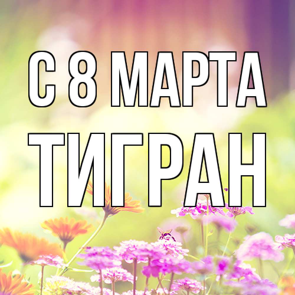 Открытка на каждый день с именем, Тигран C 8 МАРТА цветы весна Прикольная открытка с пожеланием онлайн скачать бесплатно 