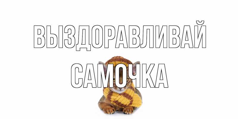 Картинка Выздоравливай, Самочка
