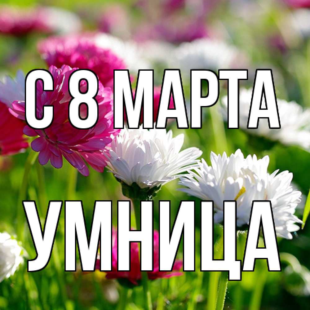 Открытка на каждый день с именем, Умница C 8 МАРТА международный женский день 1 Прикольная открытка с пожеланием онлайн скачать бесплатно 