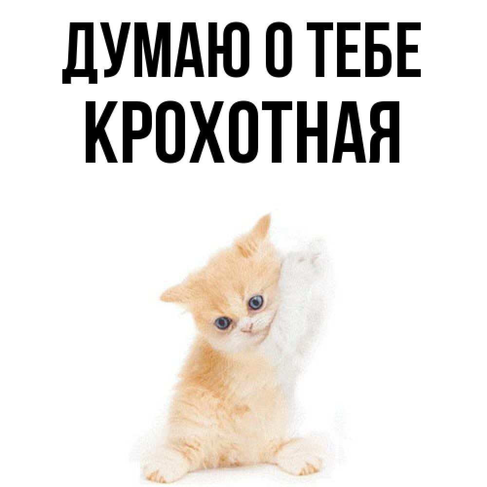 Открытка на каждый день с именем, Крохотная Думаю о тебе зверушки и милота Прикольная открытка с пожеланием онлайн скачать бесплатно 