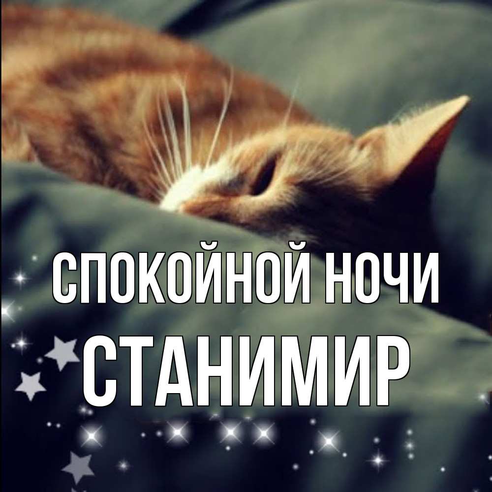 Открытка на каждый день с именем, Станимир Спокойной ночи кроватка Прикольная открытка с пожеланием онлайн скачать бесплатно 