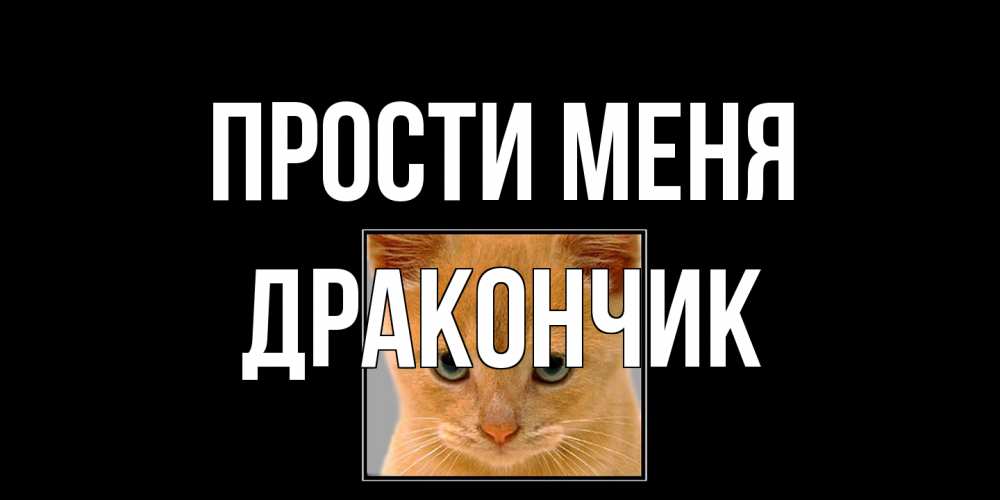 Открытка на каждый день с именем, Дракончик Прости меня рыжий грустный кот просит прощения Прикольная открытка с пожеланием онлайн скачать бесплатно 