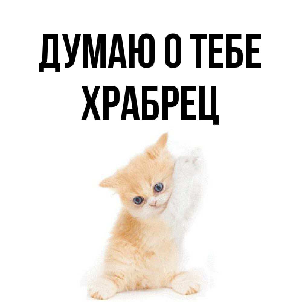 Открытка на каждый день с именем, Храбрец Думаю о тебе зверушки и милота Прикольная открытка с пожеланием онлайн скачать бесплатно 