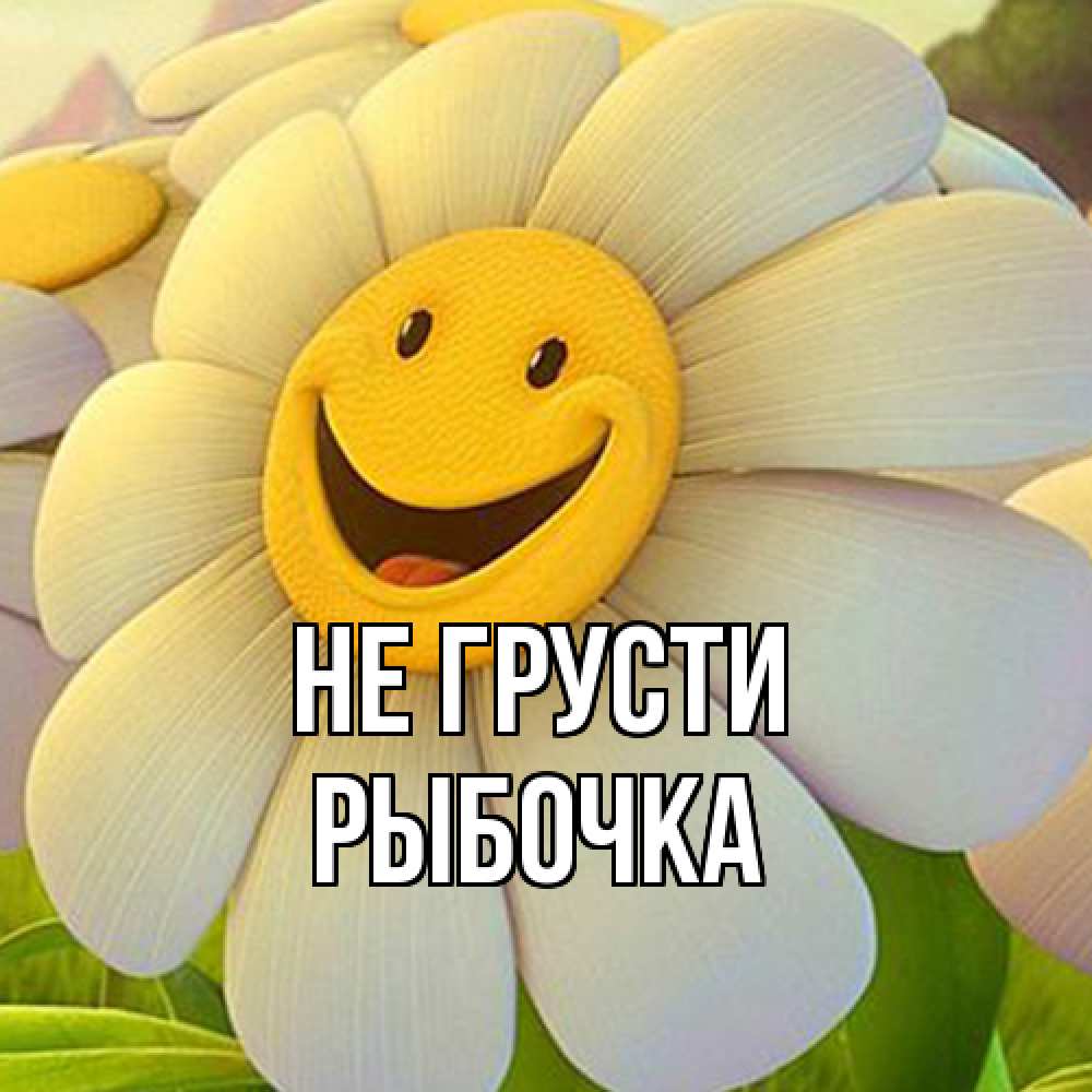 Открытка на каждый день с именем, рыбочка Не грусти огромная улыбающаяся ромашуща Прикольная открытка с пожеланием онлайн скачать бесплатно 
