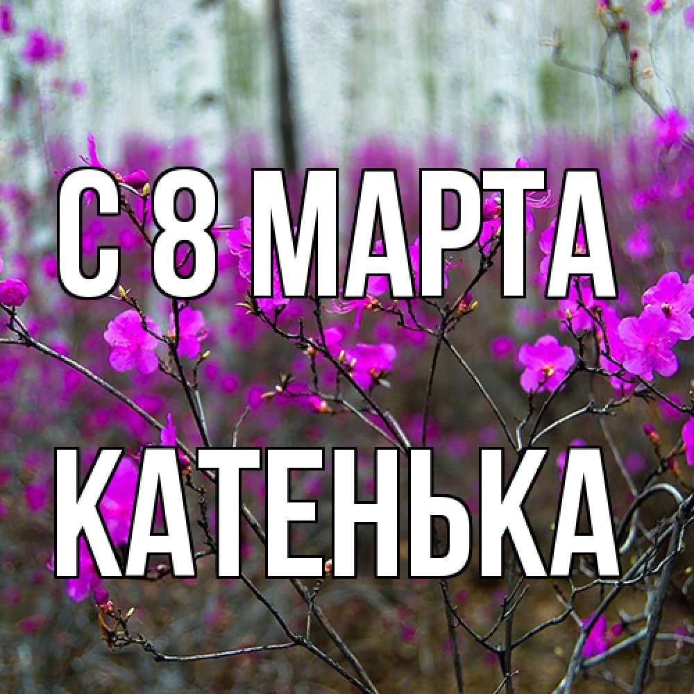 Открытка на каждый день с именем, Катенька C 8 МАРТА дикие цветы Прикольная открытка с пожеланием онлайн скачать бесплатно 