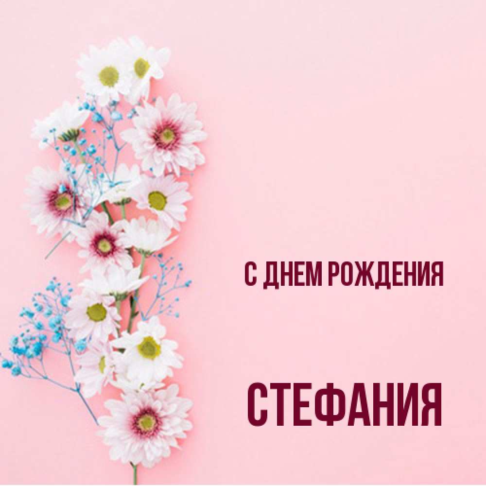 Открытка на каждый день с именем, Стефания С днем рождения Родная моя с днем рождения тебя картинка с цветами белыми и голубыми Прикольная открытка с пожеланием онлайн скачать бесплатно 