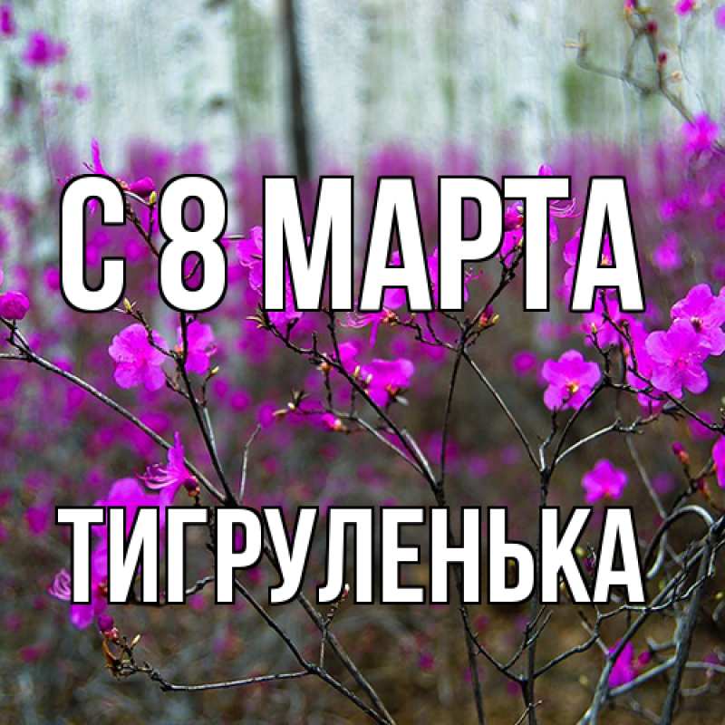 Картинка C 8 МАРТА, Тигpуленька