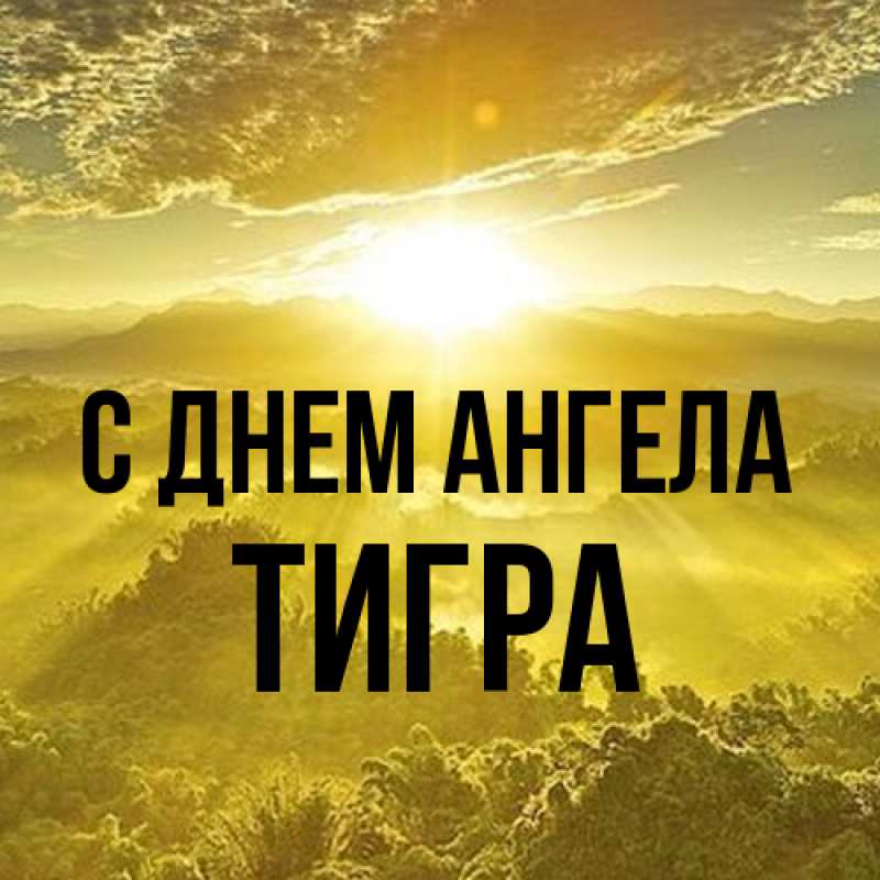 Картинка С днем ангела, Тигра