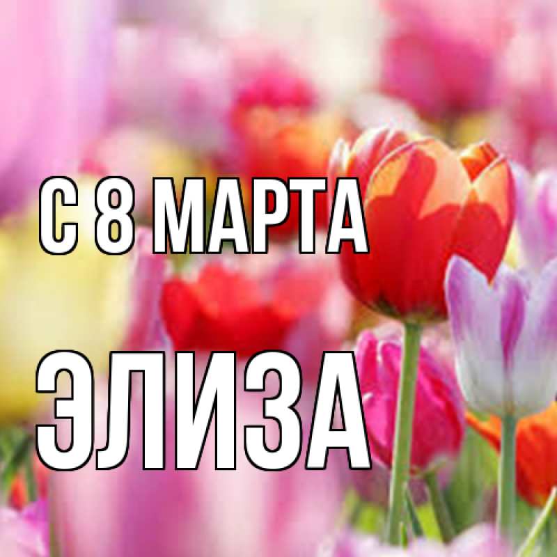 Картинка C 8 МАРТА, Элиза