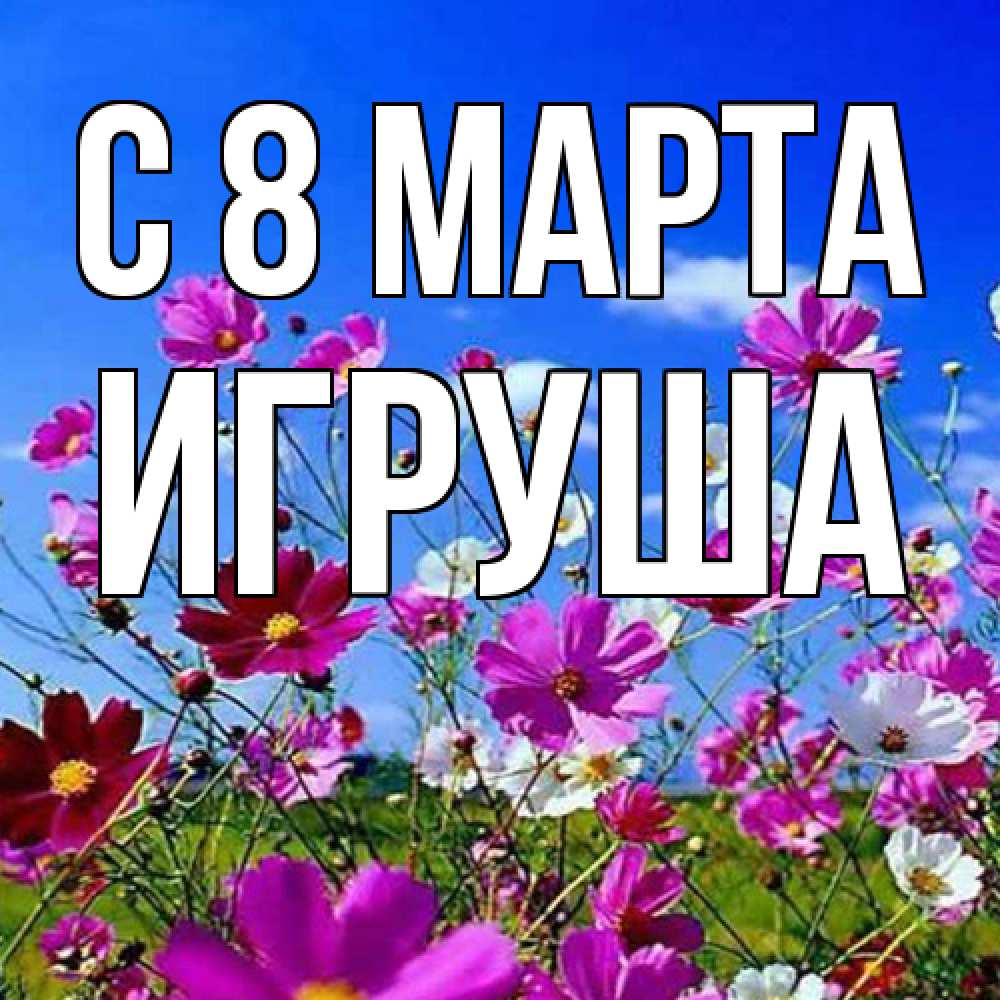 Открытка на каждый день с именем, Игруша C 8 МАРТА цветы Прикольная открытка с пожеланием онлайн скачать бесплатно 