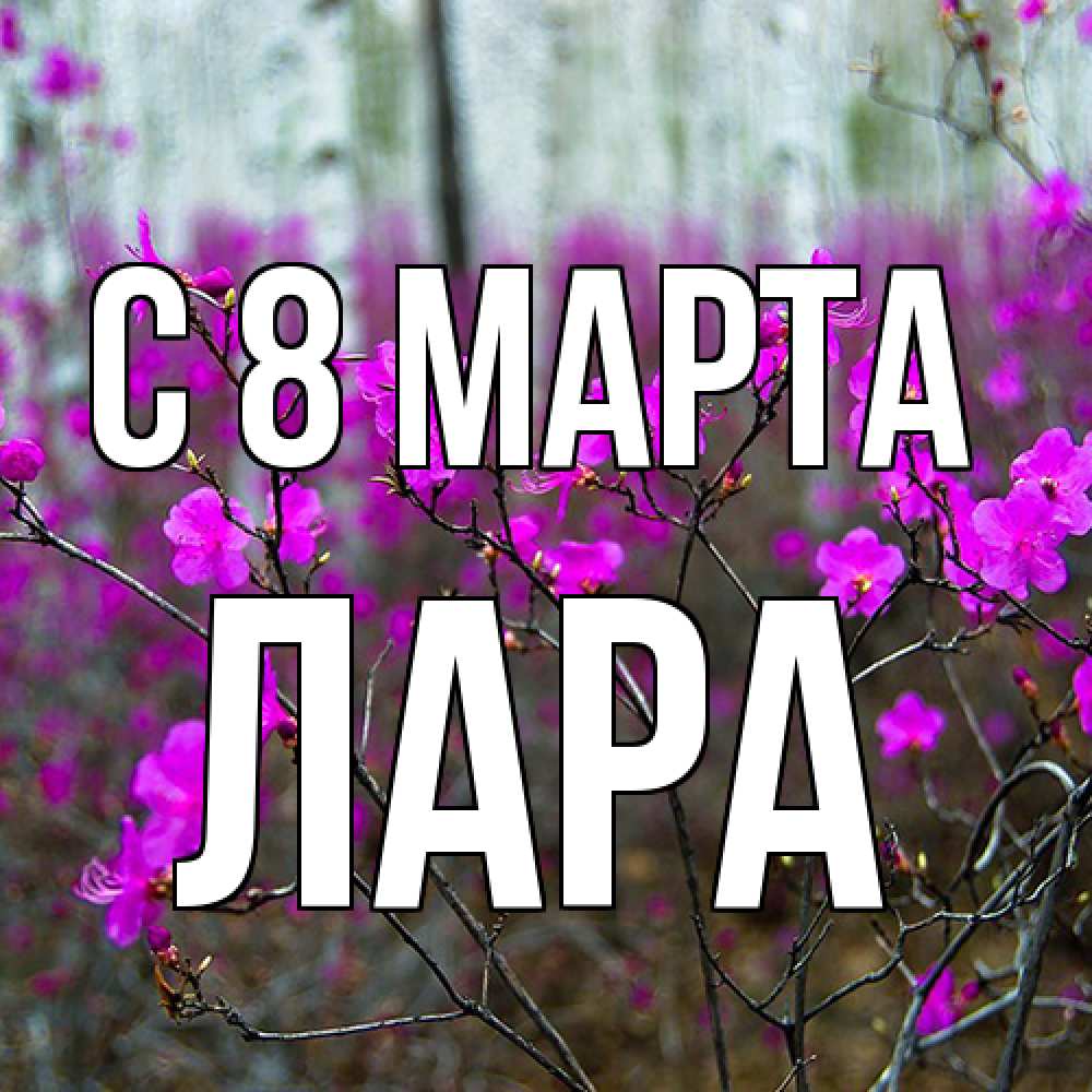 Открытка на каждый день с именем, Лара C 8 МАРТА дикие цветы Прикольная открытка с пожеланием онлайн скачать бесплатно 