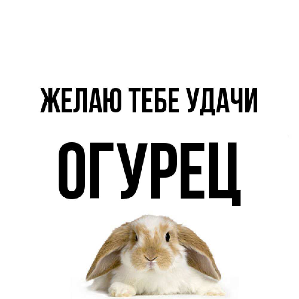 Открытка на каждый день с именем, Огурец Желаю тебе удачи открытки с произвольным текстом который можно вставить в открытку и создать ее самостоятельно бесплатно онлайн Прикольная открытка с пожеланием онлайн скачать бесплатно 