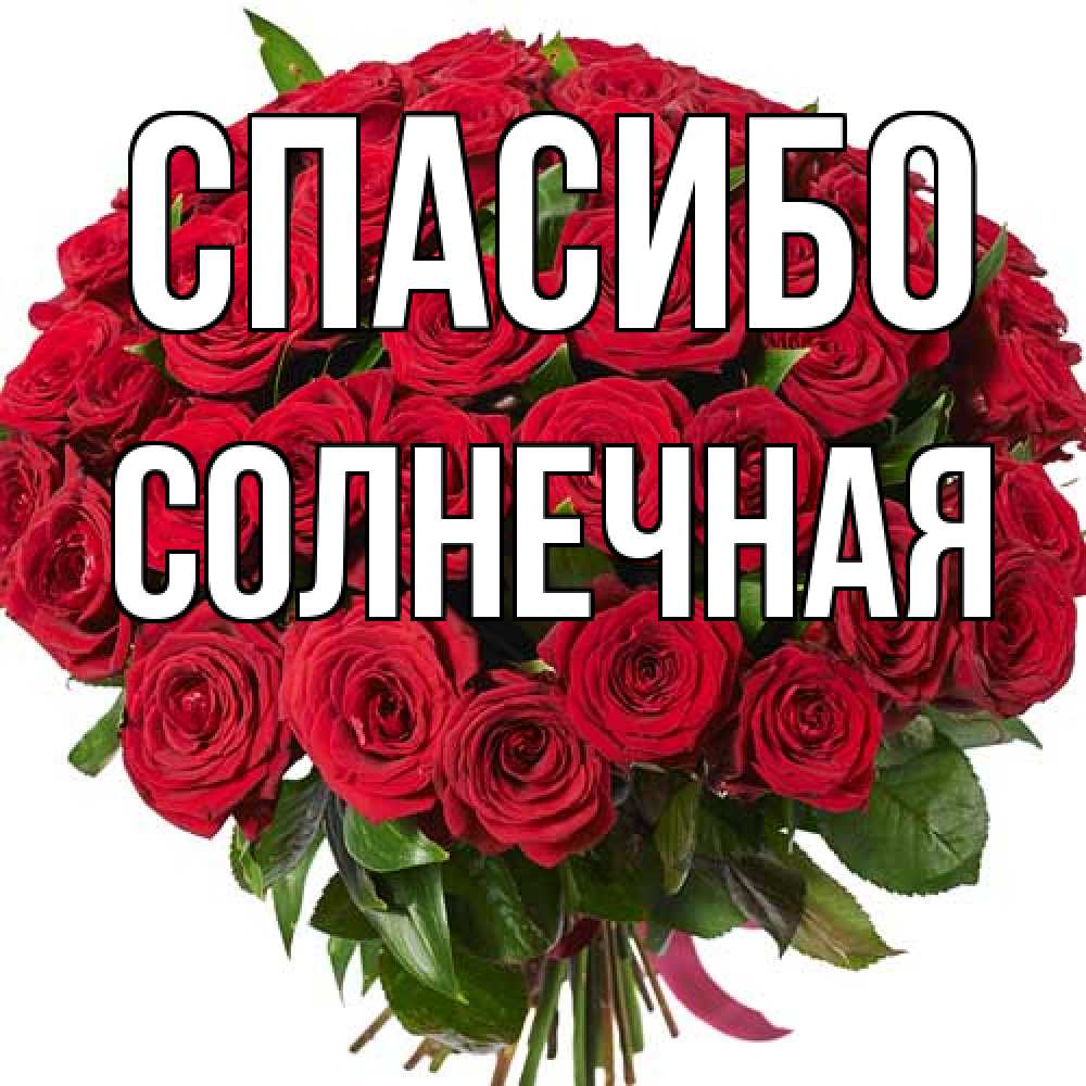 Открытка на каждый день с именем, солнечная Спасибо букет красных роз Прикольная открытка с пожеланием онлайн скачать бесплатно 
