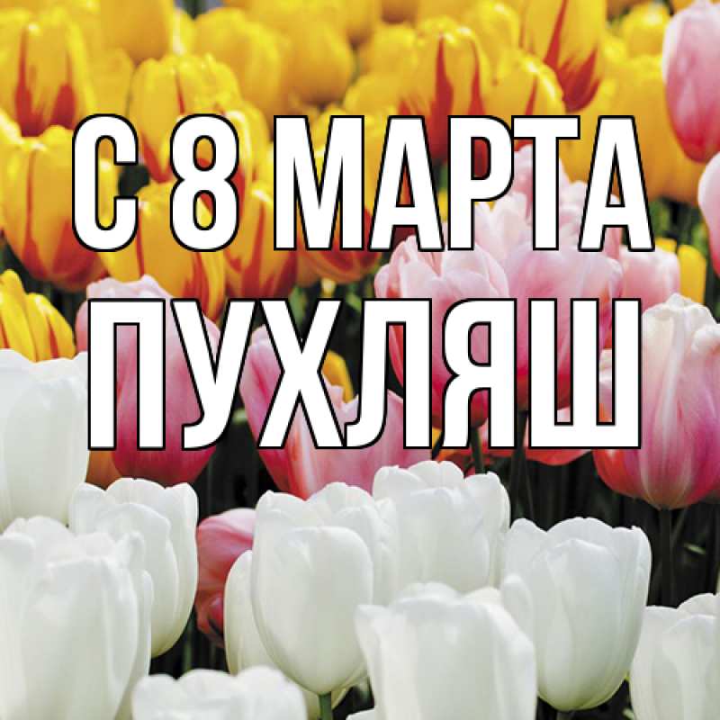 Картинка C 8 МАРТА, пухляш