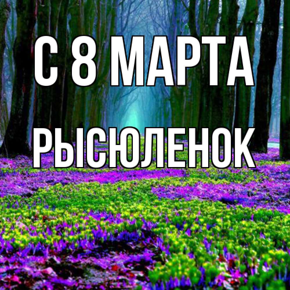 Открытка на каждый день с именем, Рысюленок C 8 МАРТА фиолетовые цветы в лесу 1 Прикольная открытка с пожеланием онлайн скачать бесплатно 