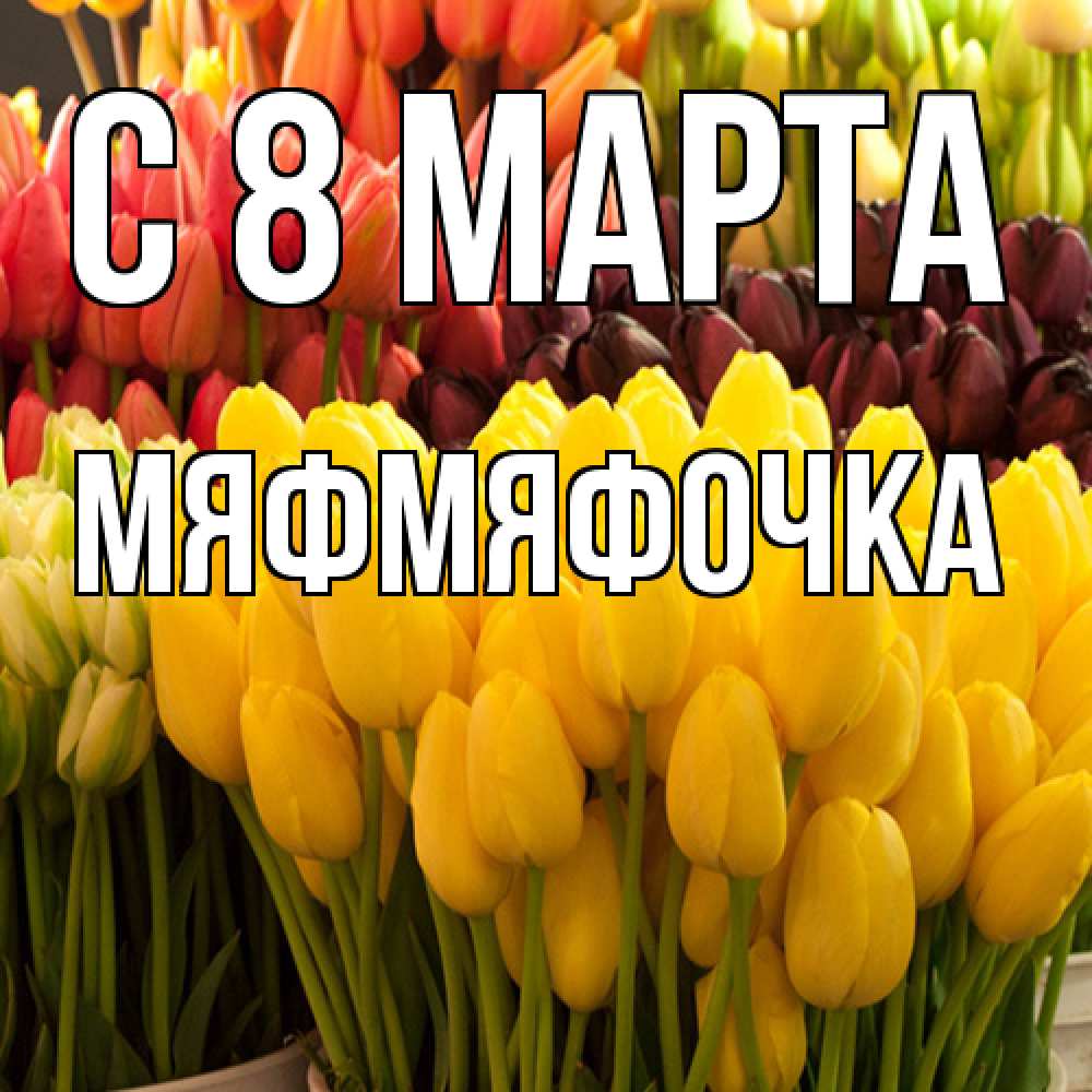 Открытка на каждый день с именем, мяфмяфочка C 8 МАРТА цветы Прикольная открытка с пожеланием онлайн скачать бесплатно 